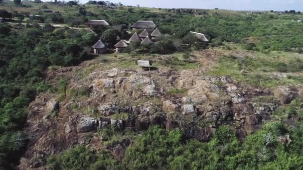 Footages Uit Zuid Afrika Wilde Dieren Genomen 2018 — Stockvideo