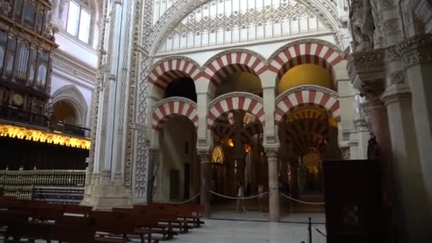 Mezquita Kathedraal Van Seville Spanje Oneindige Bogen — Stockvideo