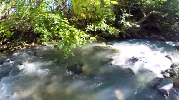 Toma Panorámica Cámara Lenta Arroyo Río Bajo Los Árboles Salvaje — Vídeos de Stock