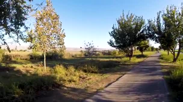 Eine Zeitlupenaufnahme Einer Vorbeifahrenden Straße Mit Der Sonne Auf Der — Stockvideo