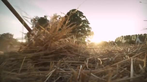 Close Hay Farmer Rakes Hay Together Land Hand Dutch Windmill — Stock Video