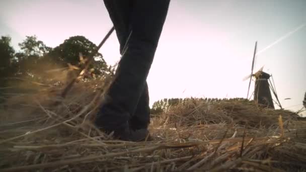 Közelkép Szénáról Amikor Egy Farmer Kézzel Gereblyézi Össze Szénát Földön — Stock videók