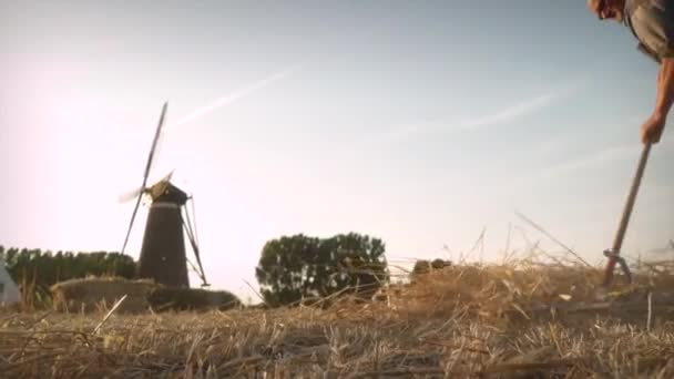 Farmer Rakes Hay Together Land Old Fashioned Way Dutch Windmill — Stock Video