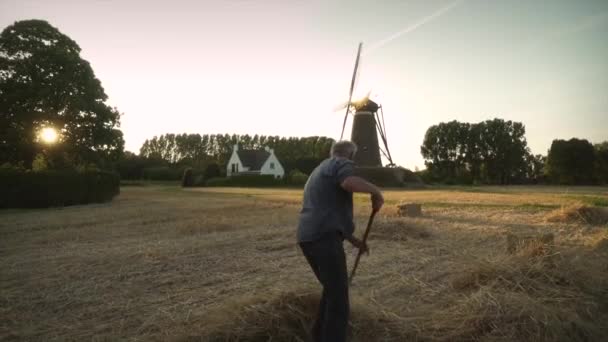 Granjero Rastrilla Heno Mano Con Molino Viento Holandés Fondo Perspectiva — Vídeo de stock