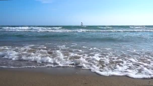 Surfista Vento Ondas Shorebreak — Vídeo de Stock