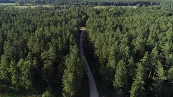 Video Grabado Usando Drone Volando Sobre Bosque Pequeño Camino Tierra — Vídeos de Stock