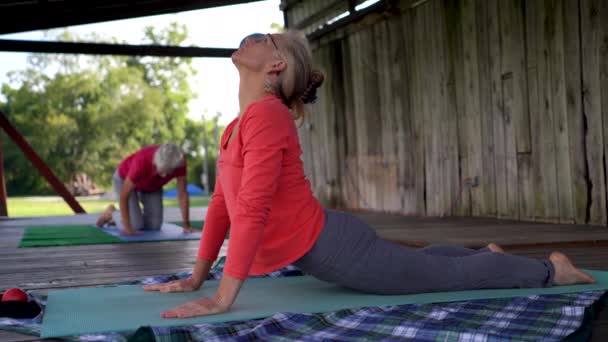 Mentre Una Posa Cobra Yoga Una Donna Matura Parla Con — Video Stock