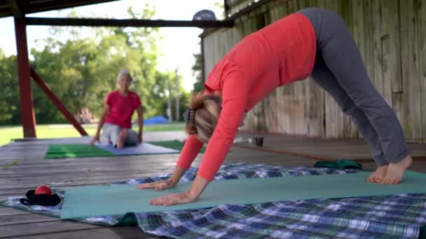 Зрелая Женщина Делает Представления Yoga Простирается Пока Старшая Седовласая Женщина — стоковое видео