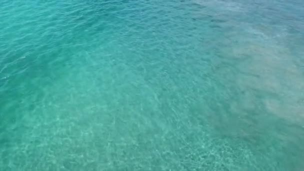 Playa Barrigona Kosta Rika Daki Pasifik Okyanusu Ndaki Sörfçülerin Insansız — Stok video