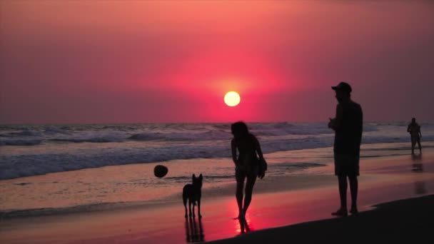 Vrouw Opknoping Uit Met Haar Hond Het Strand Tijdens Zonsondergang — Stockvideo