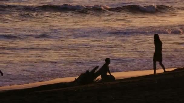 Amis Traînant Sur Plage Côté Océan Serrant Main Pour Saluer — Video