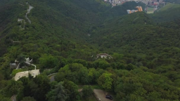 Drone Vista Bosque Italia — Vídeo de stock
