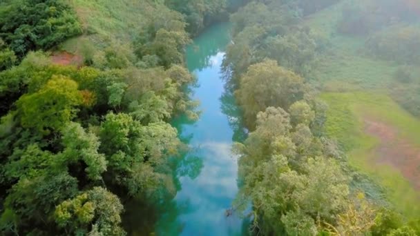 Lecąc Nad Niesamowitą Rzeką Semuc Champey Gwatemala Odkrywając Bujne Drzewa — Wideo stockowe