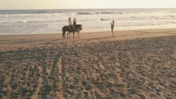 Donna Che Scatta Foto Coppia Cavallo Sulla Spiaggia Tramonto Aereo — Video Stock
