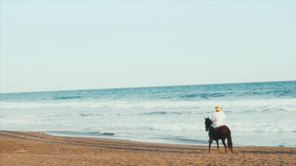 Homem Latino Branco Com Chapéu Montando Cavalo Marrom Longo Oceano — Vídeo de Stock