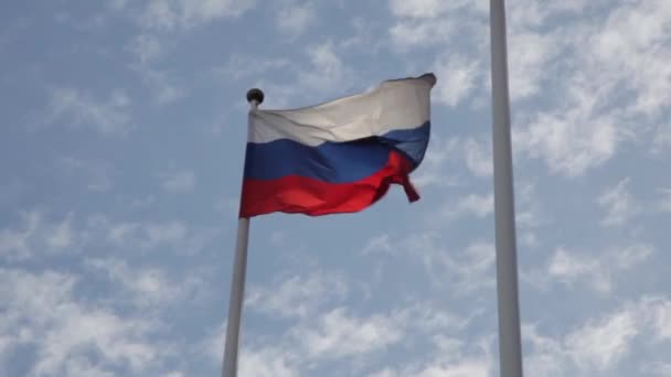 Rusland Russische Federatie Vlag Russische Vlag Wapperend Vlaggetje Russische Vlag — Stockvideo