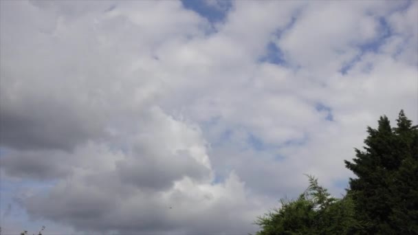 Nuvens Brancas Inchadas Que Movem Através Céu — Vídeo de Stock