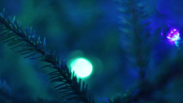 Decoraciones Luces Brillantes Árbol Navidad — Vídeo de stock