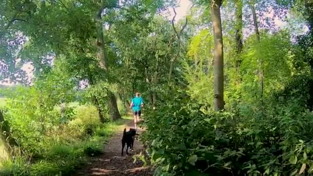 Runner Park Path Jogging His Dog — Stock Video