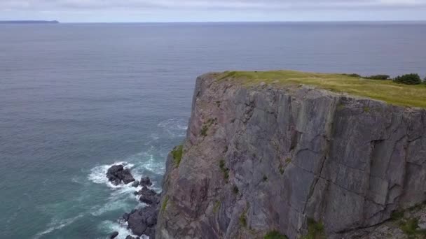 Воздушные Скалы Вдоль Побережья Ньюфаундленда Восточная Канада — стоковое видео