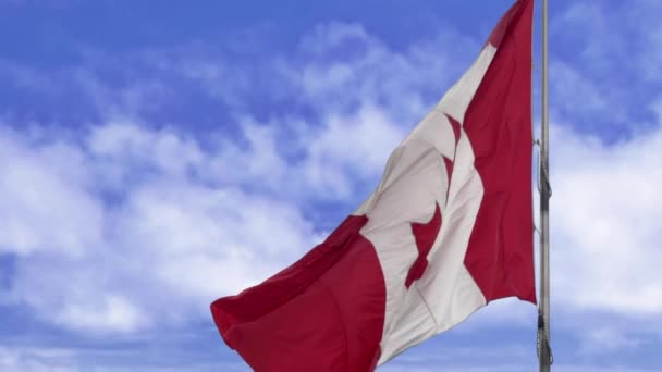 Canadese Vlag Slow Motion Tegen Een Blauwe Lucht — Stockvideo