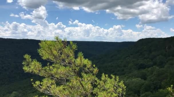 South Cumberland State Park Pan Från Vänster Till Höger Tid — Stockvideo