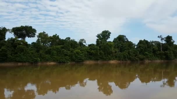 Река Амазонка Амазонские Леса Бразилии — стоковое видео