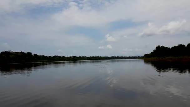 Rio Amazonas Floresta Amazônica Brasil — Vídeo de Stock