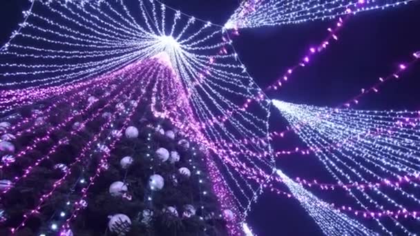 Árbol Navidad Más Hermoso Caducidad Noche Vilnius Lituania — Vídeos de Stock