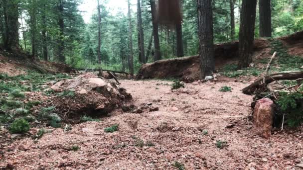 Kurumuş Bir Nehir Yatağında Kütüğün Üzerinden Atlamak Çocuklar Eğleniyor Egzersiz — Stok video