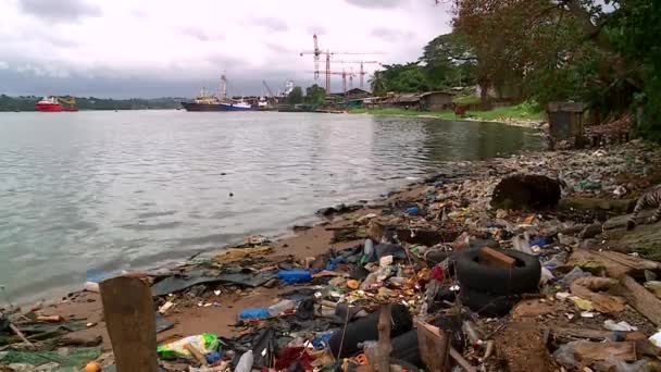 Bancos Uma Laguna Poluída Por Resíduos Selvagens Garrafas Plásticos Caixas — Vídeo de Stock