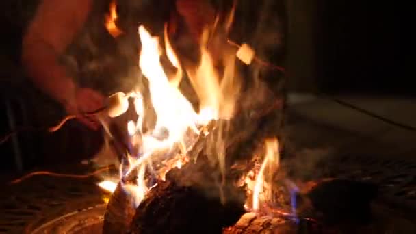 Asando Olores Sobre Fuego Abierto Afuera Por Noche — Vídeo de stock