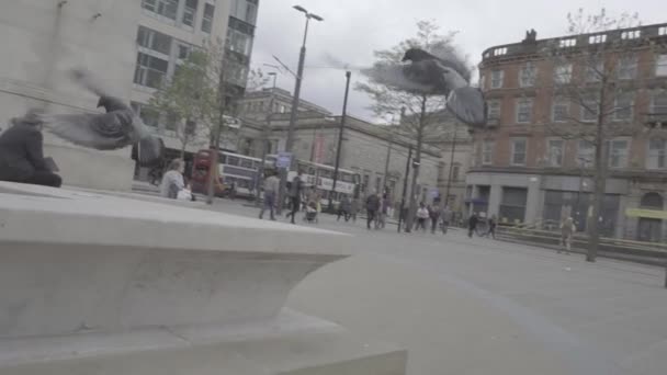 Palomas Volando Cámara Lenta Centro Manchester Disparo Formato Slog — Vídeo de stock