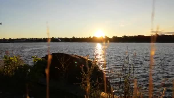 Wschód Słońca Nad Wodą Kwiatami — Wideo stockowe