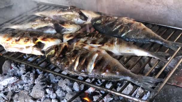 Akdeniz Balığı Izgarada Yaz Barbekü Balığı Çok Köylü Tarzı Gerçek — Stok video