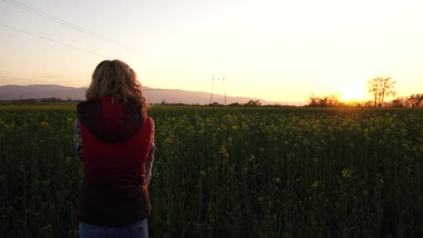 Mujer Pie Frente Campo Canola Floreciente Disparo Cámara Lenta Luz — Vídeos de Stock