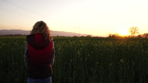 Mujer Pie Frente Campo Canola Floreciente Disparo Cámara Lenta Luz — Vídeos de Stock