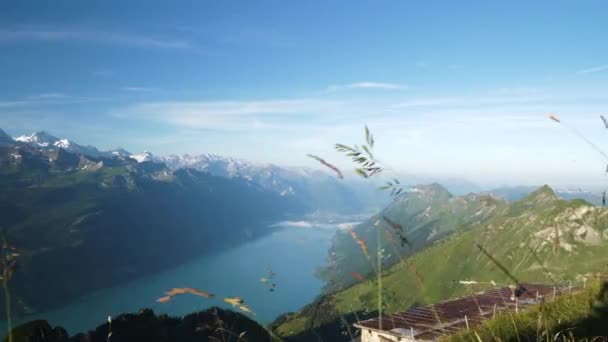スイスアルプスの夏の間に青い湖の雪の山と風光明媚な山のハイキングパス ローアングルサイドショット — ストック動画