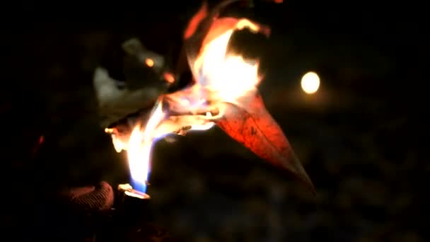 Feuilles Mortes Brûlées Par Briquet Tondeuse Nuit Milieu Parc Desenzano — Video