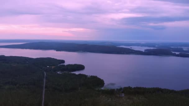 Floresta Finlandesa Entardecer Final Verão — Vídeo de Stock