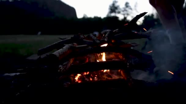 Een Camper Voegt Hout Toe Aan Een Vuur — Stockvideo