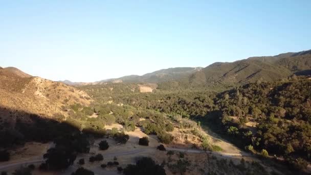 Des Images Drones Forêts Vertes Fond Vallée Zone Rurale 1080P — Video
