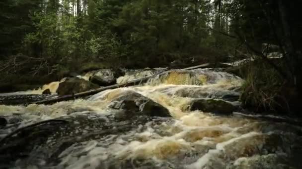 Dziki Wodospad Rzeki Lesie — Wideo stockowe