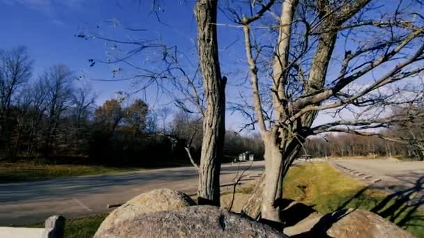 象の岩州立公園彫刻ボルダー — ストック動画