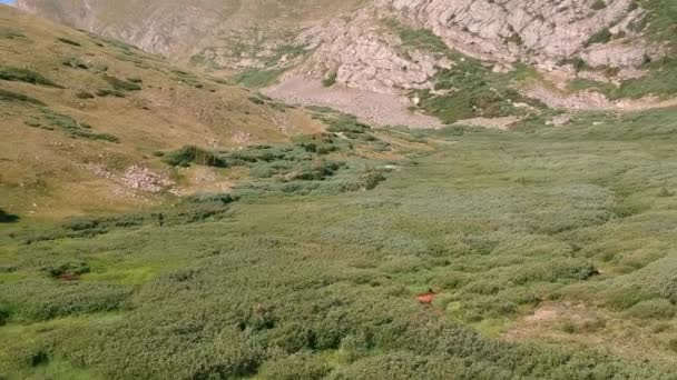 Ariel Drone Πλάνα Πάνω Rocky Βουνά — Αρχείο Βίντεο