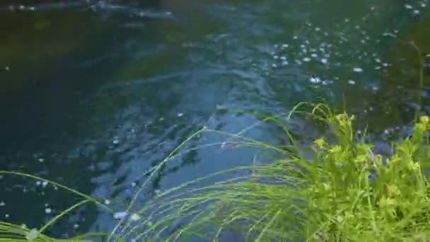 和平看待河流的流动 — 图库视频影像