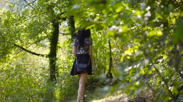 Menina Caminhando Caminho Floresta — Vídeo de Stock