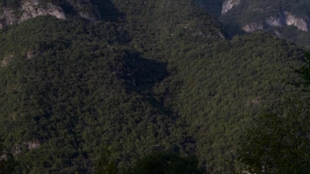 Utsikt Över Skog Och Berg — Stockvideo