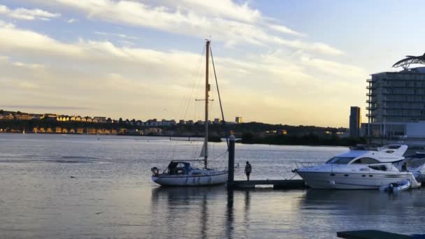 Barcos Vela Cardiff Bay Como Pôr Sol — Vídeo de Stock