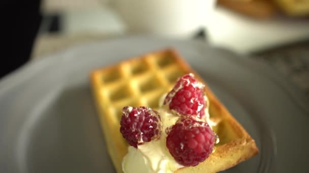 Gaufres Crème Sure Framboises Sur Dessus Miel Avec Une Casserole — Video